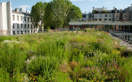 Paris_toiture_vegetalisee_college.jpg