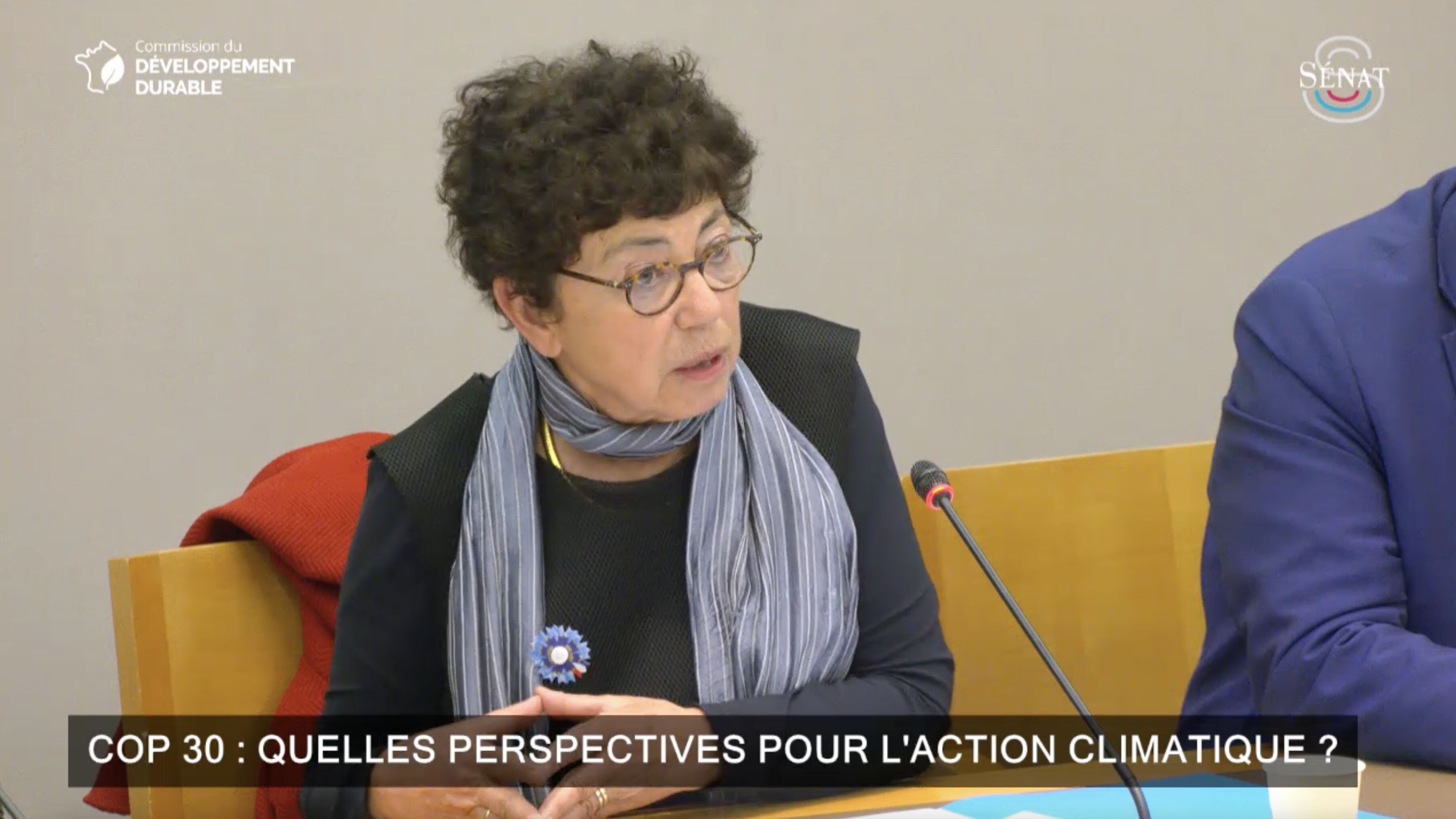 Monique Barbut Cop 30