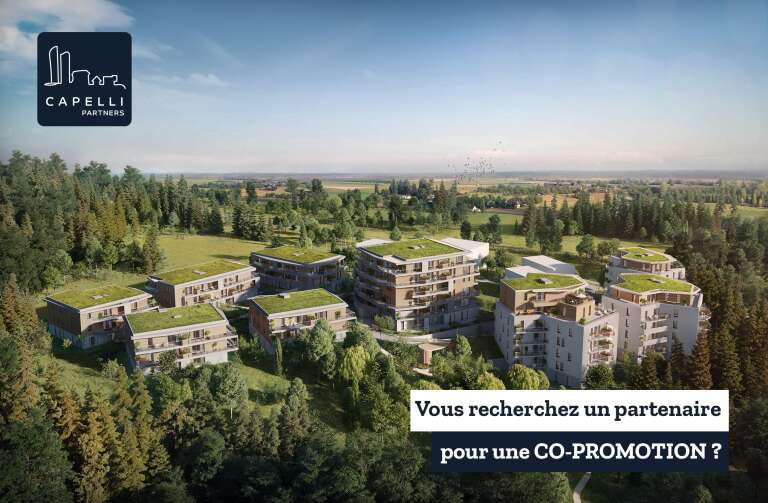 Visuel_Cadre de ville_Capelli Partners.png Visuel_Cadre de ville_Capelli Partners.png