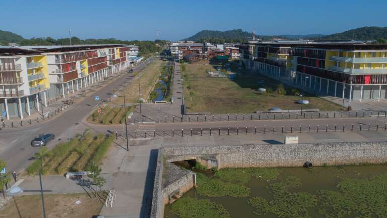 PHOTO_02_Cayenne_Hibiscus (2).jpg PHOTO_02_Cayenne_Hibiscus (2).jpg