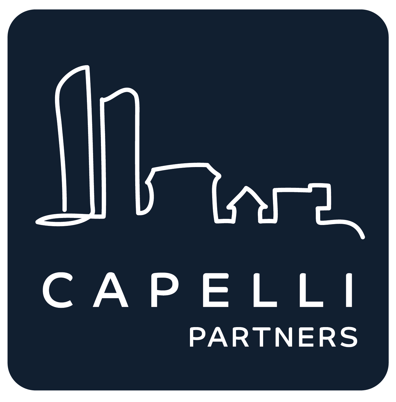 Capelli Partners_Bleu F_ss lisere blanc.png