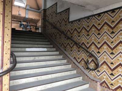 IMG_5339.jpeg IMG_5339.jpeg