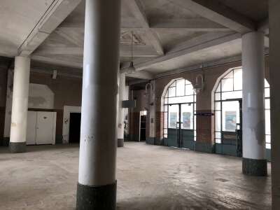 IMG_5330.jpeg IMG_5330.jpeg