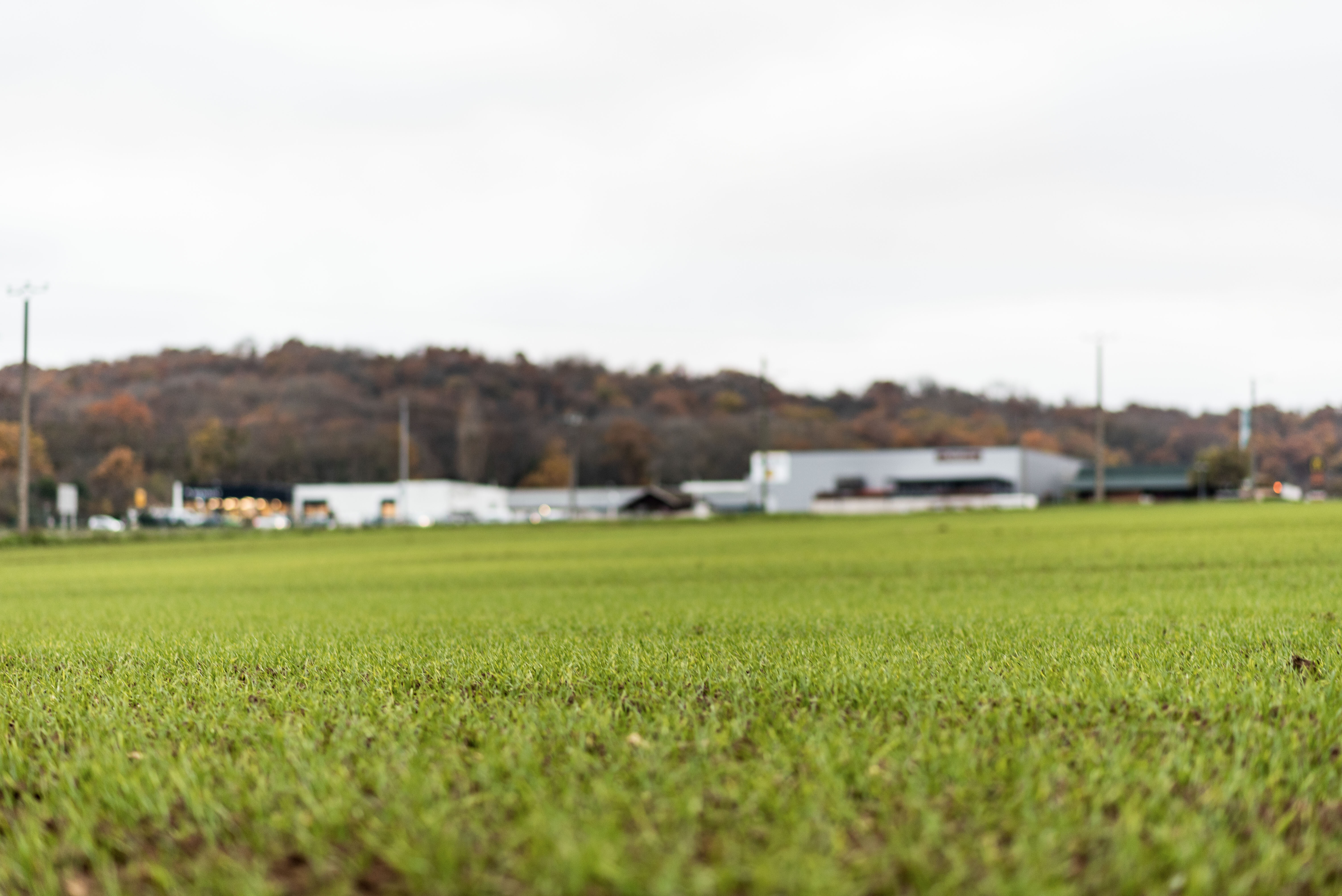 L'artificialisation augmente, malgré les lois pour la réduire