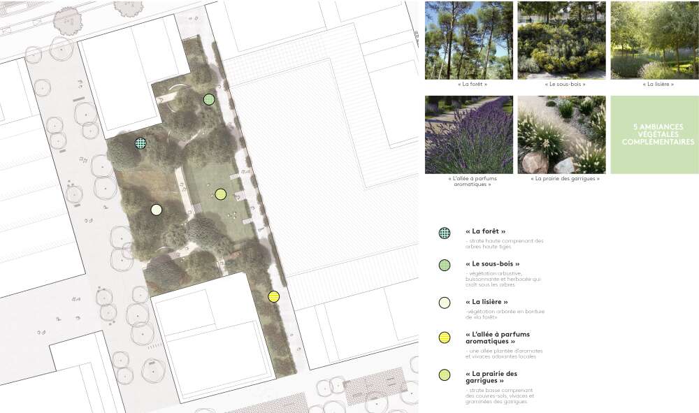 Smartseille 2 Plan Masse Essences végétales.png Smartseille 2 Plan Masse Essences végétales.png