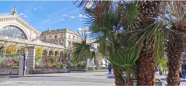 Image2.png Image2.png