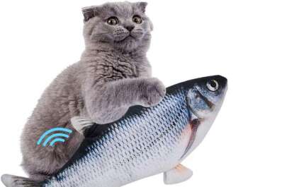 Jouet poisson pour chat Jouet poisson pour chat