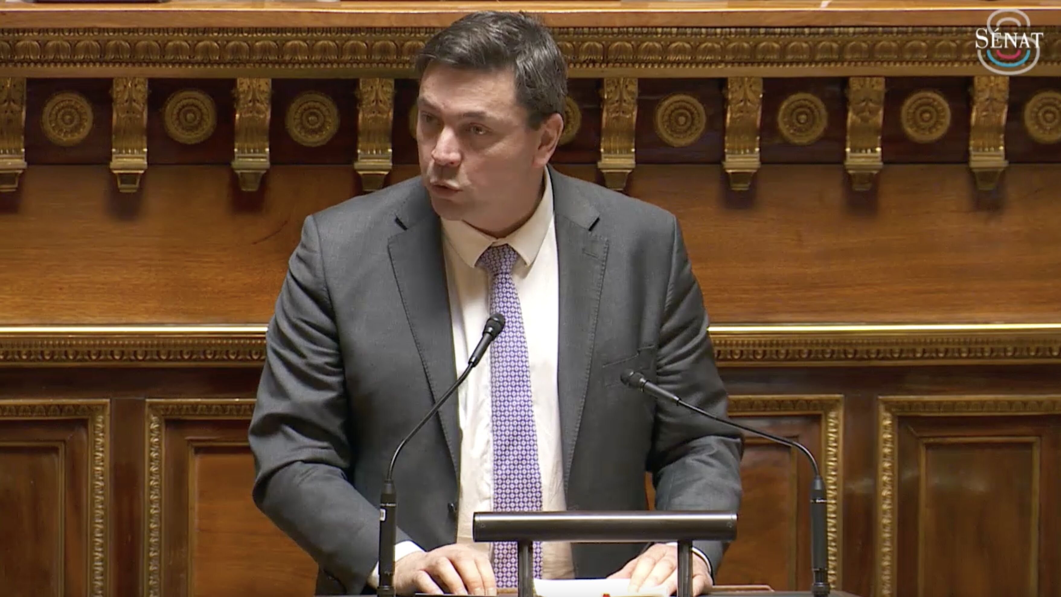 Guislain Cambier Sénat 18 mars 2025