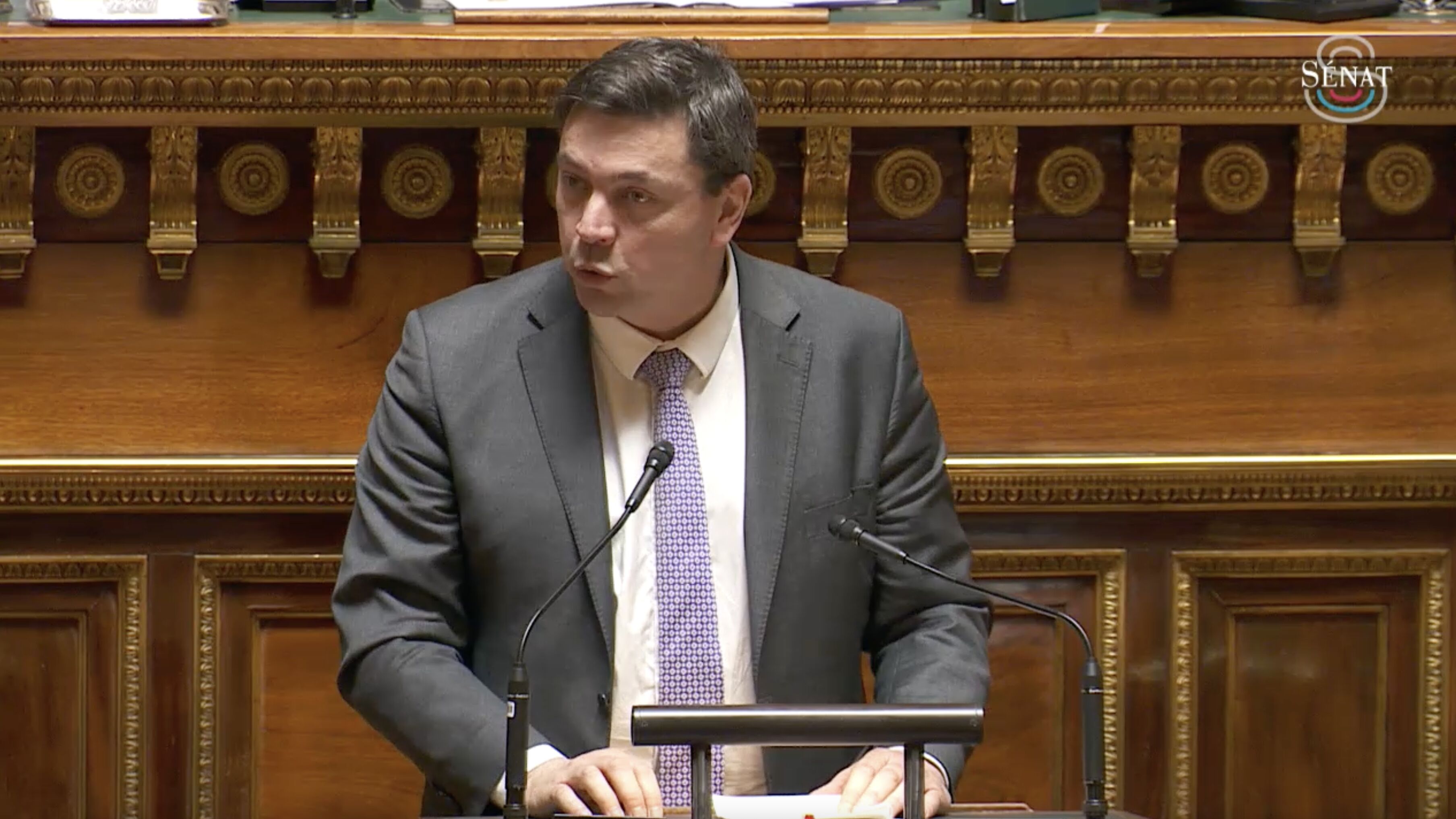 Guislain Cambier Sénat 18 mars 2025