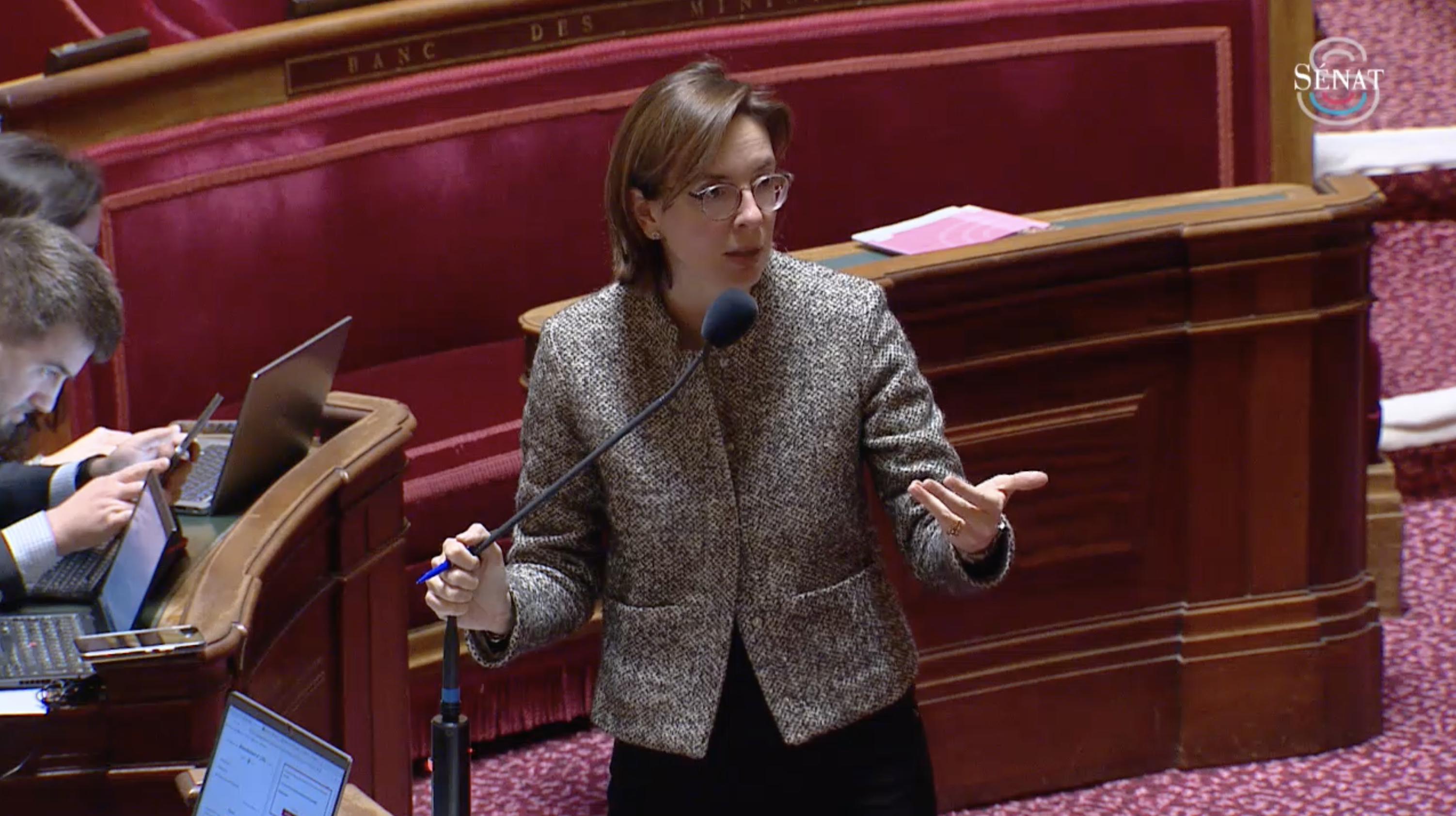 Amélie de Montchalin Sénat