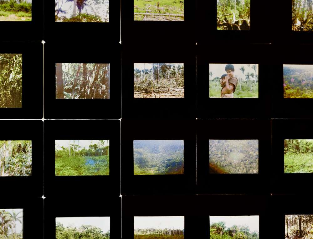 P1000885.JPG P1000885.JPG