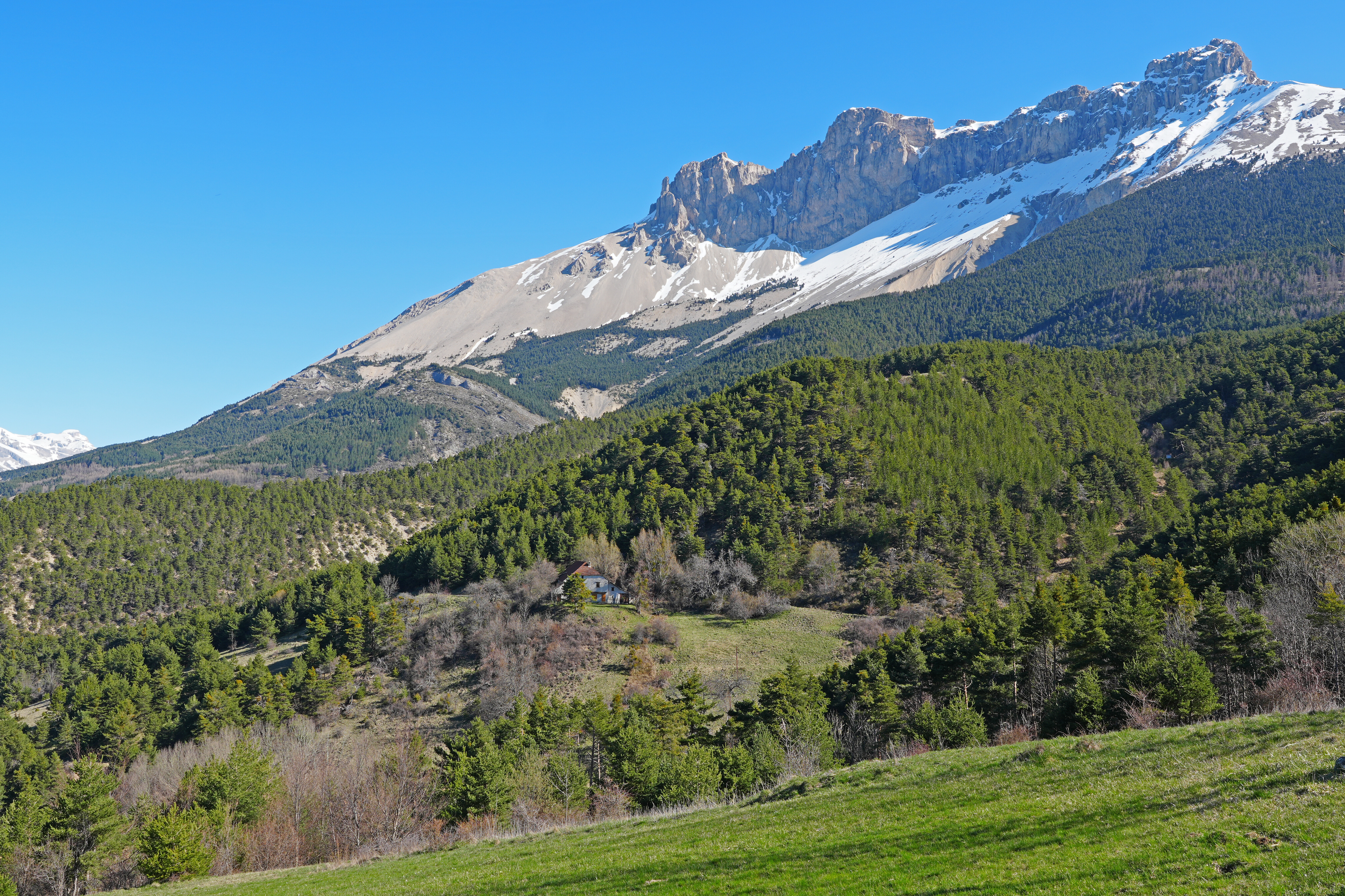 PLateau de Bure vu depuis le hameau de la Montagne , commune de Montmaur (Hautes Alpes, France) DSC00915